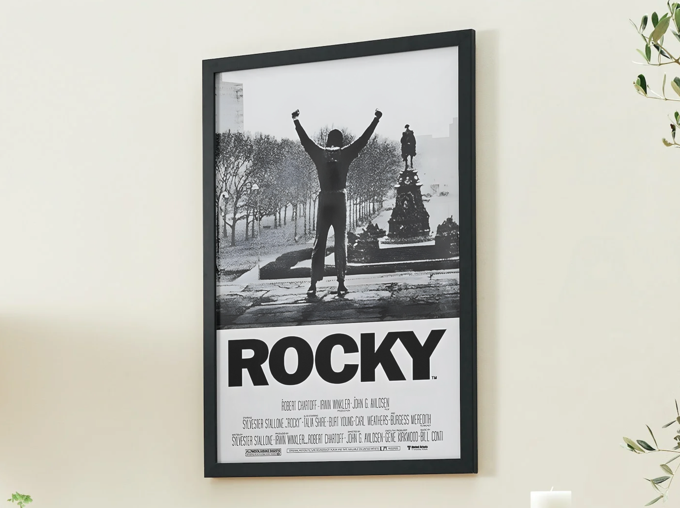 ROCKY